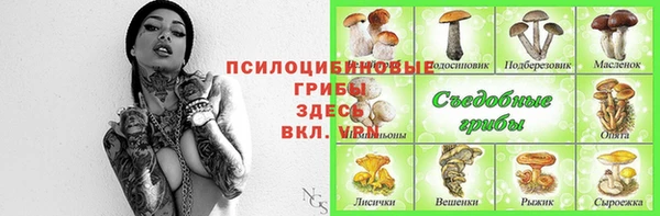 гидропоника Зеленодольск