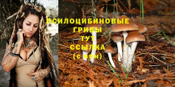 гидропоника Зеленодольск